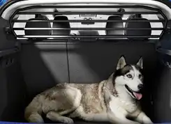 Lastgitter til Sandero III 2021-2024