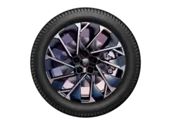 20" Vinterhjul, Speedway - Continental til Scenic IV 2024 -