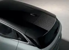 Hajfinneantenne til Megane E-Tech 2022-2024