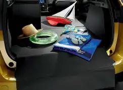 EasyFlex bagagerumsmåtte til GR. Scenic IV 2016-2021