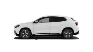 250+ SUV Electric
