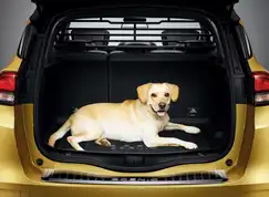 Lastgitter til GR. Scenic IV 2016-2021