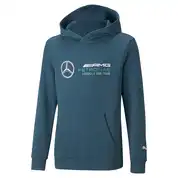 Mercedes Børne F1 Hættetrøje