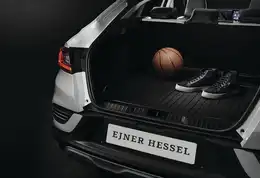 Bagagerumsbakke til Arkana 2021-2024