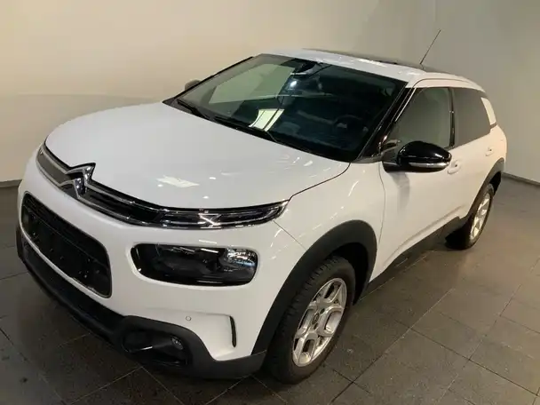C4 Cactus