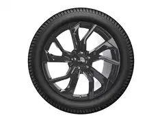 20" Vinterdæk med fælge til G6 2023 -