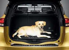 Lastgitter til Scenic IV 2016-2021