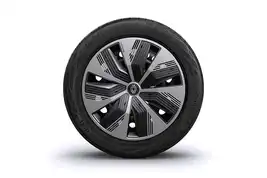 18" Terdam, Hjulkapsler