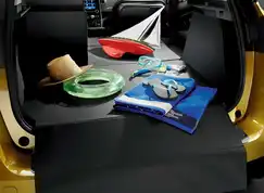 EasyFlex bagagerumsmåtte til Scenic IV 2016-2021