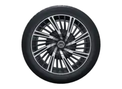 21" Sommerdæk med fælge, Multi spoke til G9