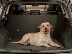 Hundegitter til Austral 2023-2024