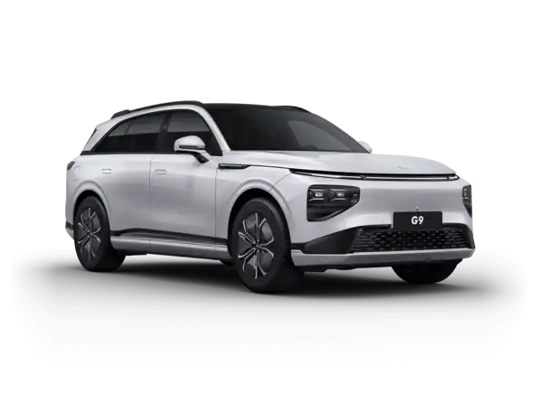 G9 RWD Standard Range SUV aut.