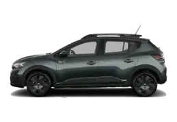 Stepway TCe 110 EXPRESSION Hatchback man.