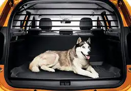 Hundegitter til Duster II 2022-2024