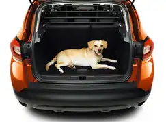 Lastgitter til Captur I 2013-2019