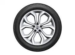 20" Vinterdæk medfælge til GR. Scenic IV 2016-2021