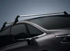 Tagbærersæt til Espace V 2015-2021