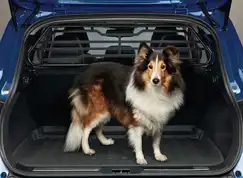 Lastgitter til Kadjar 2015-2022